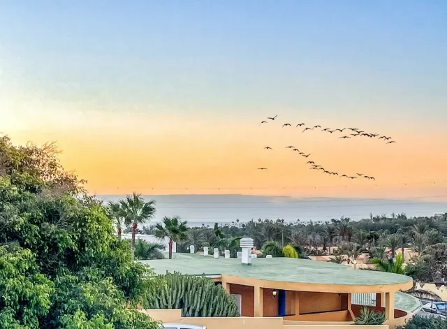 BookNoFees: Ferienwohnung in Costa Calma, Fuerteventura – Ganze Unterkunft: Haus in Costa Calma, Fuerteventura