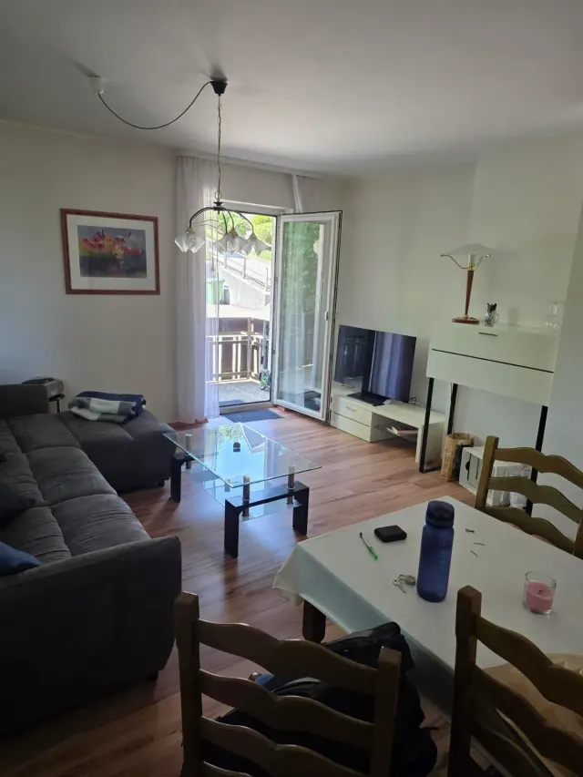 BookNoFees: Ferienwohnung in Willingen – Wohnzimmer mit grauem Sofa, Couchtisch aus Glas und Balkontür