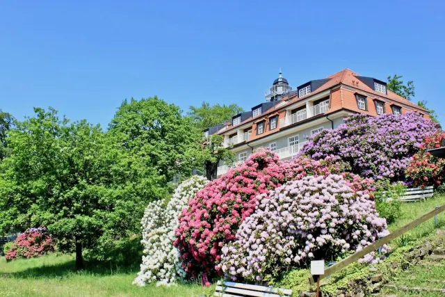BookNoFees: Ferienwohnung Natur und Kunst, Dresden, Sächsische Schweiz – Dresden