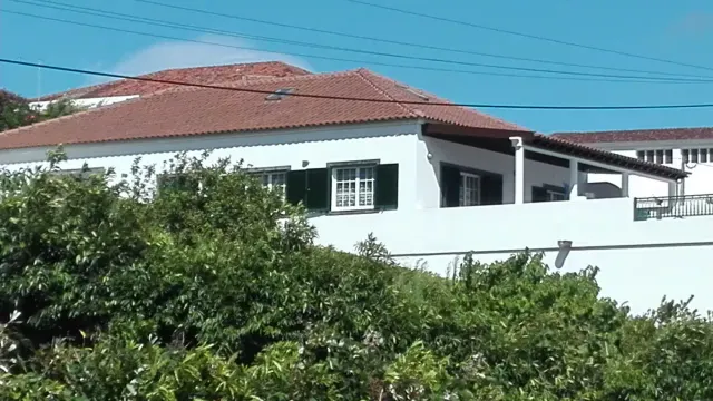 BookNoFees: Ganzes Haus auf der Insel São Miguel – Ribeira Chã