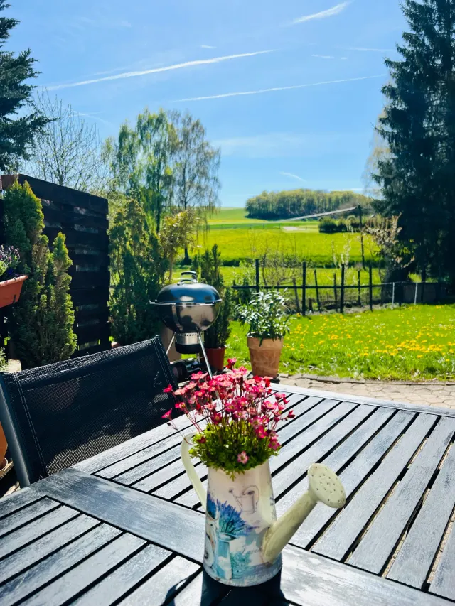 BookNoFees: Ferienwohnung in Halenbach, Rheinland-Pfalz, Deutschland – Gartenterrasse mit Holztisch, Grill und Blick auf eine ländliche Wiese