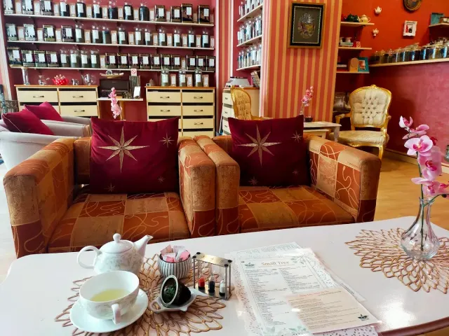 BookNoFees : Café – Small Tree - Salon de Thé – Belgrade – Small Tree - Salon de Thé, photo n° 2