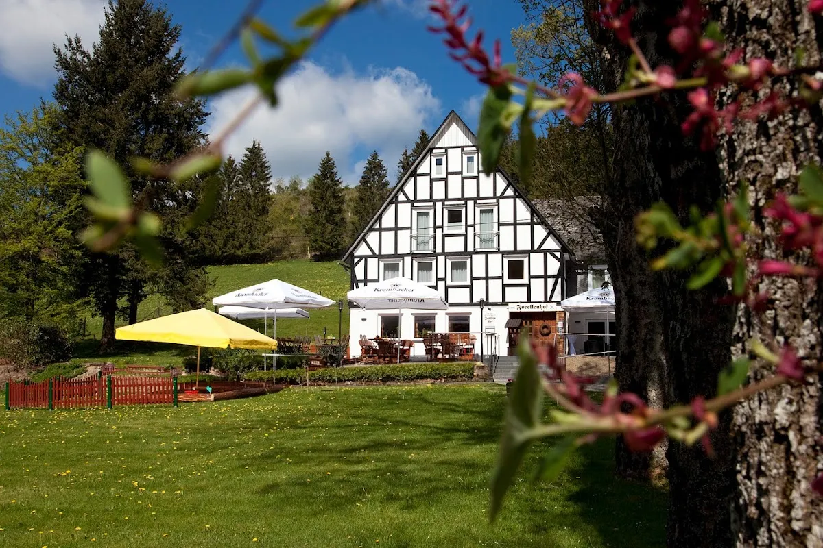 BookNoFees : Restaurant – Forellenhof Boshof – Bad Berleburg – Ferme de truites Boshof, photo n° 1