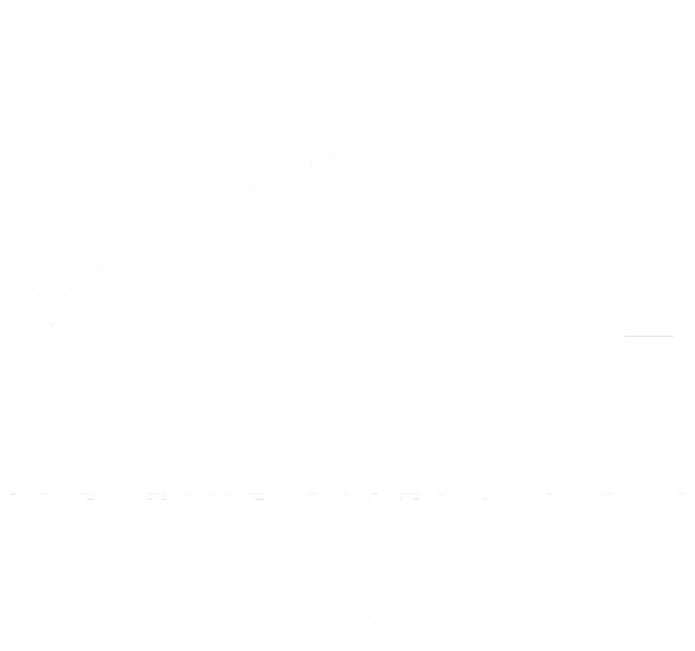 BookNoFees : Restaurant – Manah – Lisbon – Cœur, photo n° 2