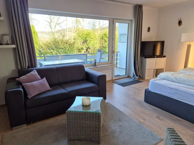BookNoFees: Appartement de vacances au calme au bord du lac Sorpesee, avec cheminée et balcon – Sundern