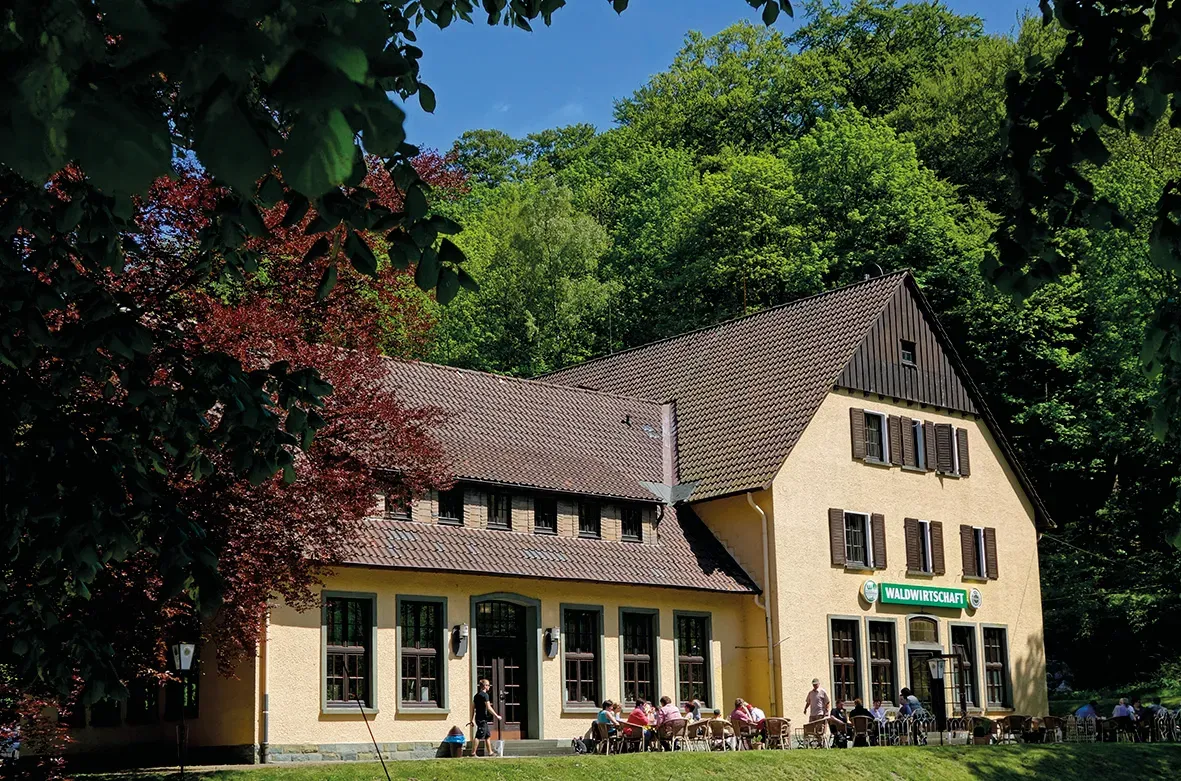 BookNoFees : Restaurant – Waldwirtschaft im Bilsteintal – Warstein – La sylviculture dans la vallée de Bilstein, photo n° 1