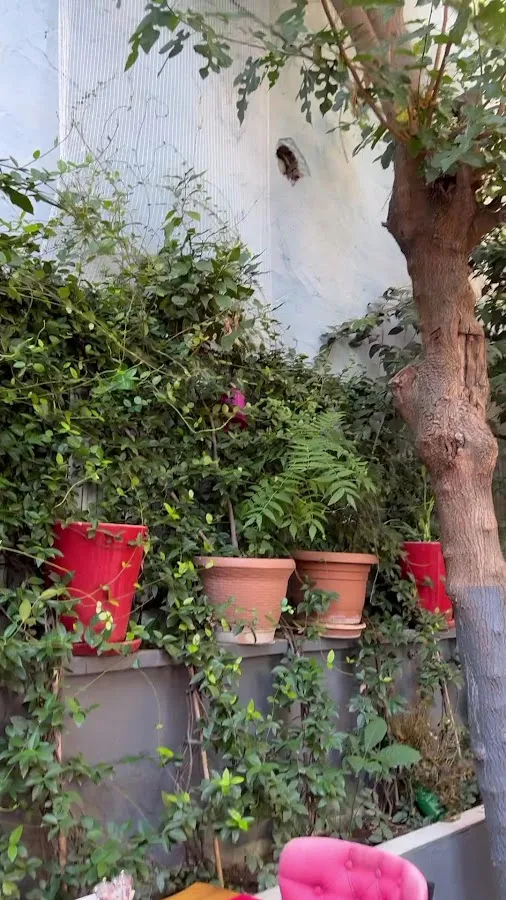 BookNoFees : Restaurant – Hidden Garden Sultanat – Istanbul – Le Sultanat du Jardin Caché, photo n° 3