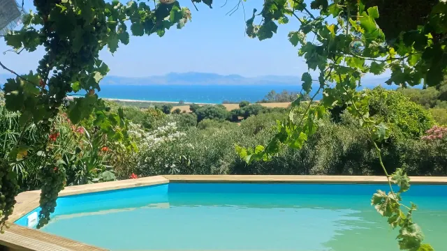BookNoFees : location de vacances à Tarifa – Piscine avec terrasse en bois et vue sur la mer à travers les vignes