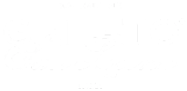 BookNoFees : Glacier – Gelato San Lorenzo – Rome – Glaces San Lorenzo, photo n° 2