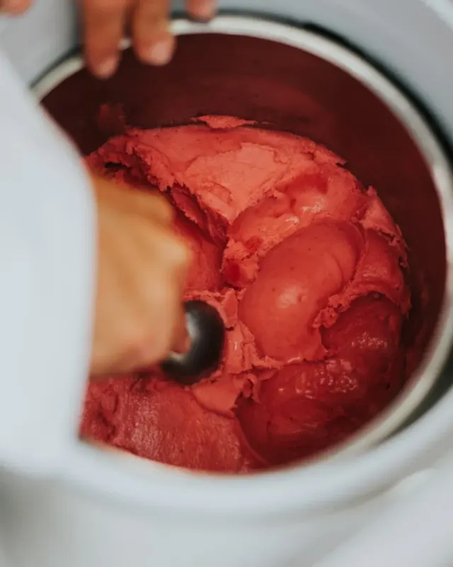 BookNoFees : Glacier – Artisani – Lisbon – Artisan, photo n° 2