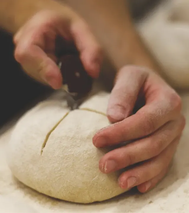 BookNoFees : Boulangerie – Triticum Micropanificio Agricolo – Rome – Triticum – Petite boulangerie agricole, photo n° 3