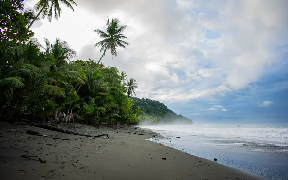 Palmen am Strand von Pavones in Costa Rica