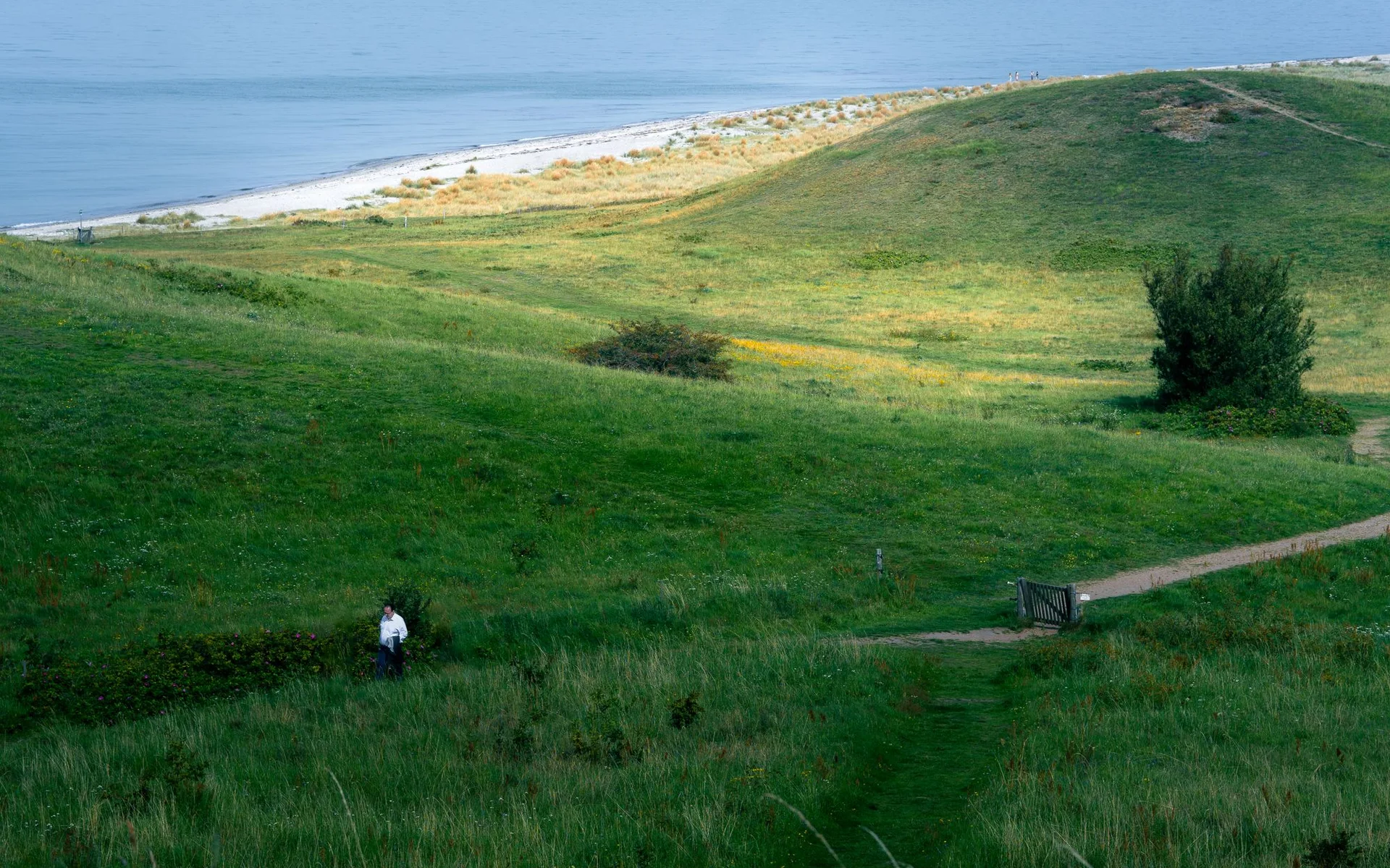 Collines verdoyantes et littoral de l’île danoise de Samsø